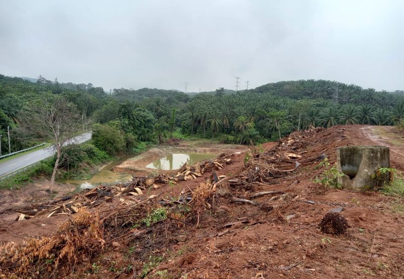 Rembau, Pedas Negeri Sembilan Agricultural land for sale