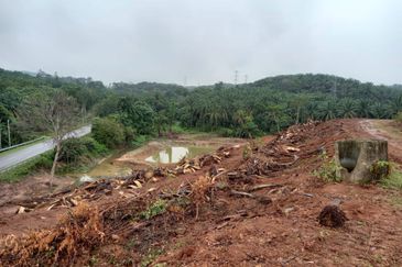 Rembau, Pedas Negeri Sembilan Agricultural land for sale