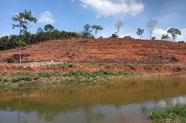 Rembau, Pedas Negeri Sembilan Agricultural land for sale