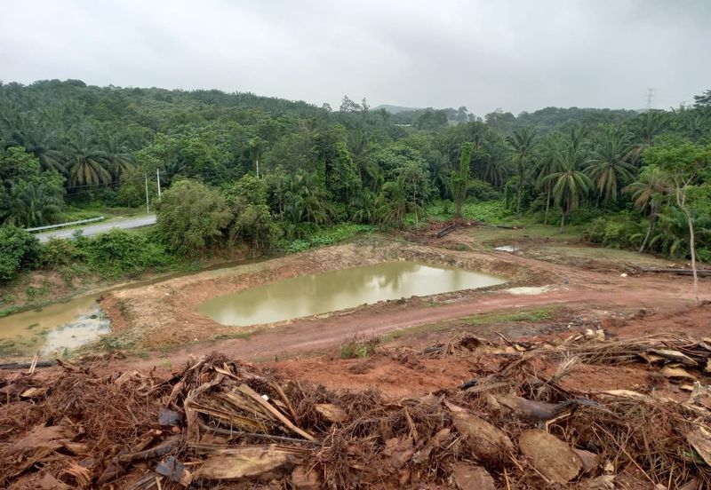 Rembau, Pedas Negeri Sembilan Agricultural land for sale