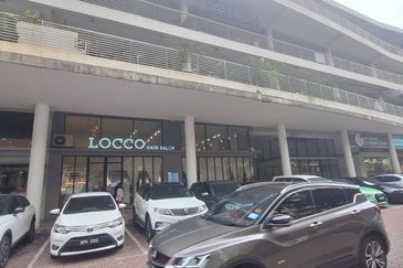 Platinum Mondrian (Pv128)