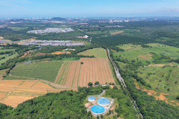 [ 15 Acres ] Ayer Keroh Commercial Land, Melaka