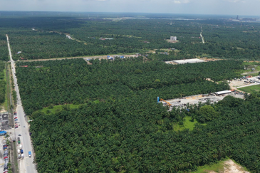 [ Direct Access | 15 Acres ] Telok Panglima Garang, Olak Lempit Agriculture land for Sale