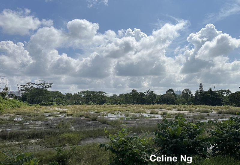 Plentong, Permas, Johor Bahru, Freehold Medium Industry Land for Sale
