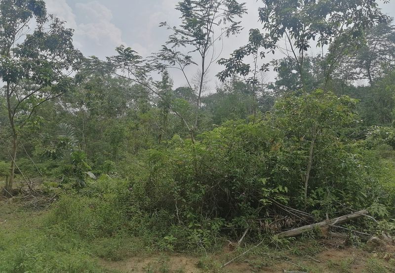 Senai, Agriculture Land for Sale