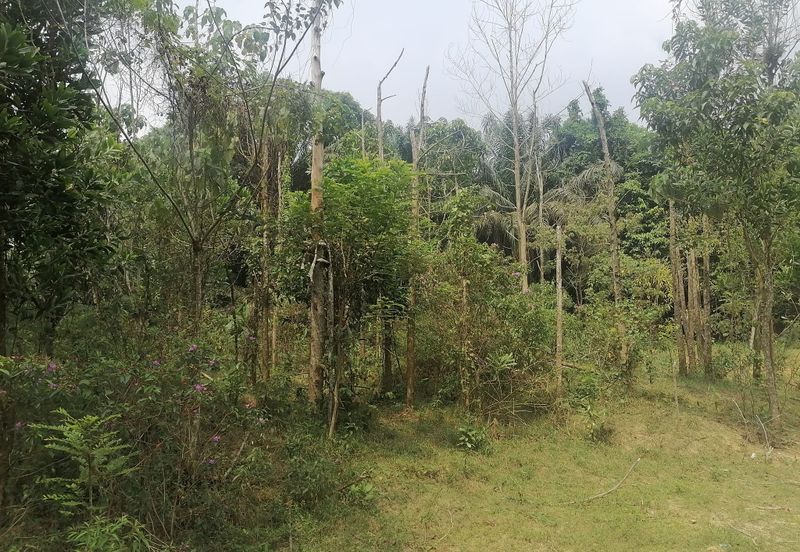 Senai, Agriculture Land for Sale