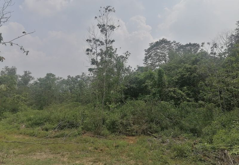 Senai, Agriculture Land for Sale
