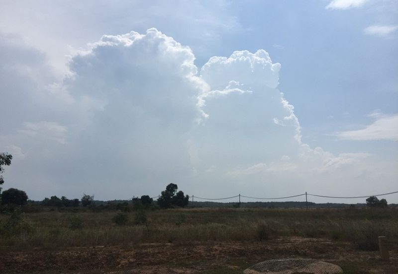 Tanjung Langsat Industrial Complex