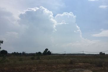 Kawasan Perindustrian Tanjung Langsat, Industrial Land for Sale