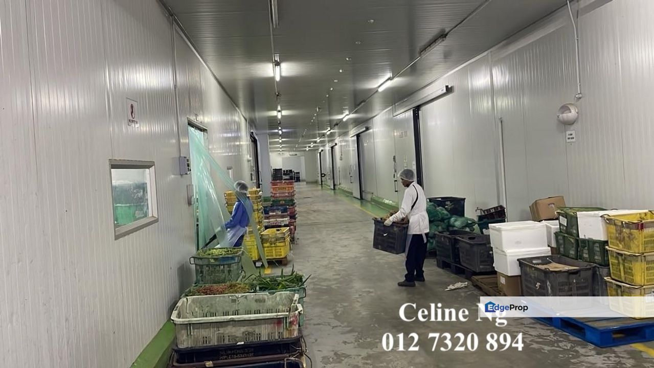 Simpang Renggam, Halal and Iso Certified Detached Factory for Rent, Johor, Kluang