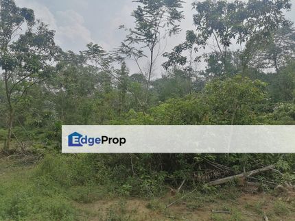 Pengerang, Kampung Sungai Rengit, Agricultural Land for Sale, Johor, Pengerang