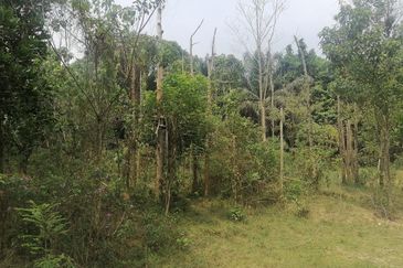 Pengerang, Kampung Sungai Rengit, Agricultural Land for Sale