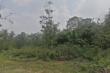 Kampung Seelong Jaya