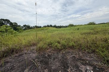 Kampung Sawah, Pontian, Medium Industrial Land for Sale