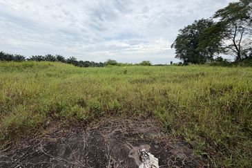 Kampung Sawah, Pontian, Medium Industrial Land for Sale