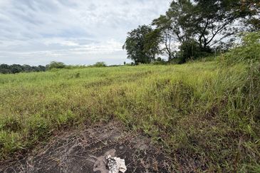 Kampung Sawah, Pontian, Medium Industrial Land for Sale