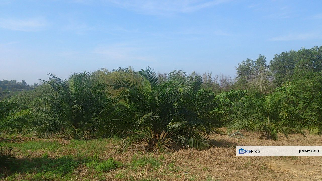 Agriculture Land Kerling 6 Acre near Tanjung Malim Khube Baru Selangor, Perak, Tanjung Malim