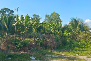 Taman Taynton (Taynton View)