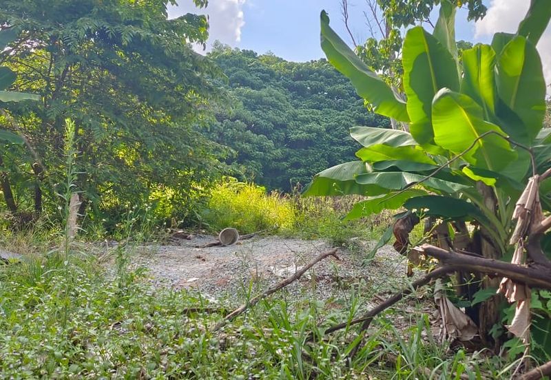 Taman Taynton (Taynton View)