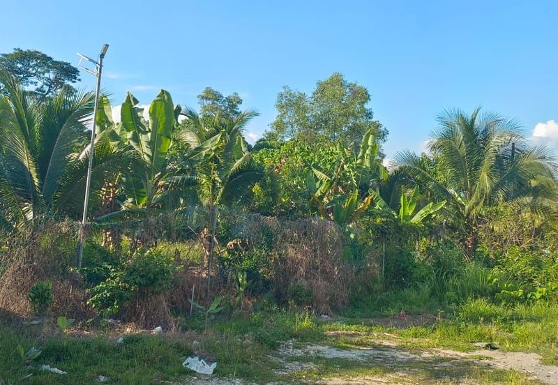 Taman Taynton (Taynton View)