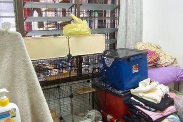 Taman Pandan Perdana