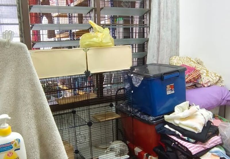 Taman Pandan Perdana