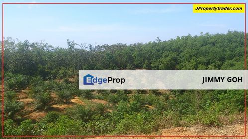 Agriculture Land (Getah) Kerling near Khubu & Tanjung Malim Selangor, Selangor, Kerling