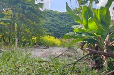 Taman Taynton (Taynton View)