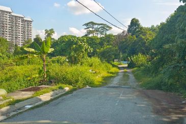 Taman Taynton (Taynton View)