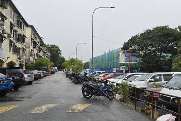 Taman Muda