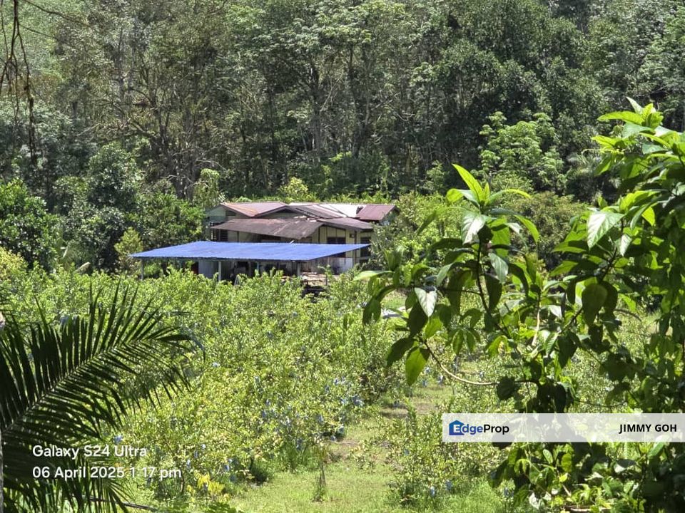 Agriculture Land Sungai Tekali Hulu Langat (Q5492), Selangor, Hulu Langat