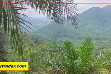 Fertile Agricultural Land for Sale Only 10 Mins from Raub Town (Q5500)