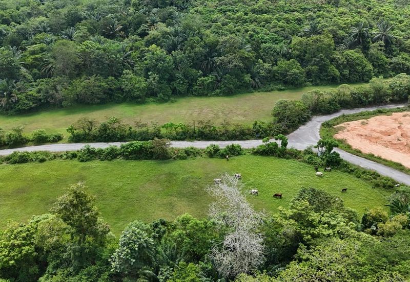 Taman Tasik Semenyih (Lake Residence)