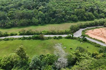 Taman Tasik Semenyih (Lake Residence)