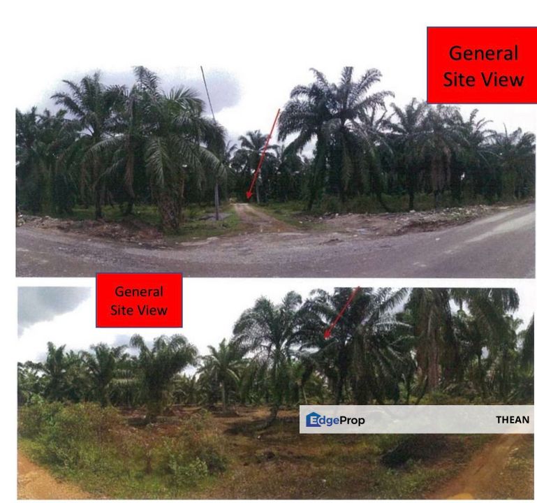 Kapar Freehold Non Bumi Flat Land Zone Residential Kampung Bukit Kapar Below Market Value, Selangor, Kapar 