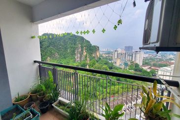 Penaga @ Taman Raintree