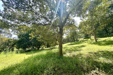 Tanah Freehold Malay Reserved Zoning Residential (3.9 ekar), Batu 15 1/2, Hulu Langat For Sale