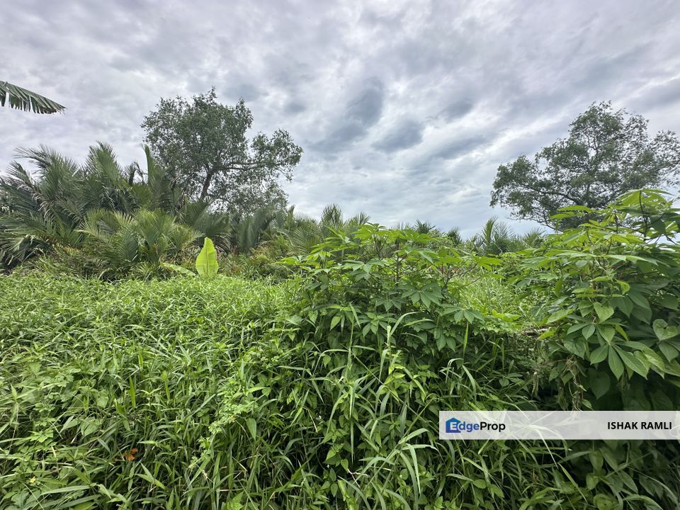 Tanah Pertanian 3 Ekar Di Kampung Dato' Ahmad Razali for sale, Selangor, Kuala Selangor