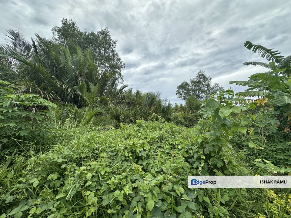 Tanah Pertanian 3 Ekar Di Kampung Dato' Ahmad Razali for sale, Selangor, Kuala Selangor