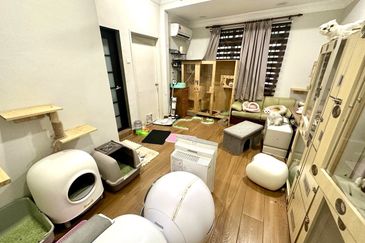 Seksyen 5, Kota Damansara