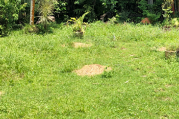 Tropicana Golf & Country Resort