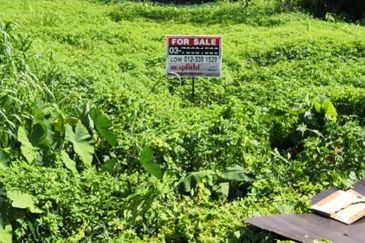 PJ Old Town Section 1/6 Bungalow Land for Sale