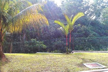 Damansara Heights (Bukit Damansara)