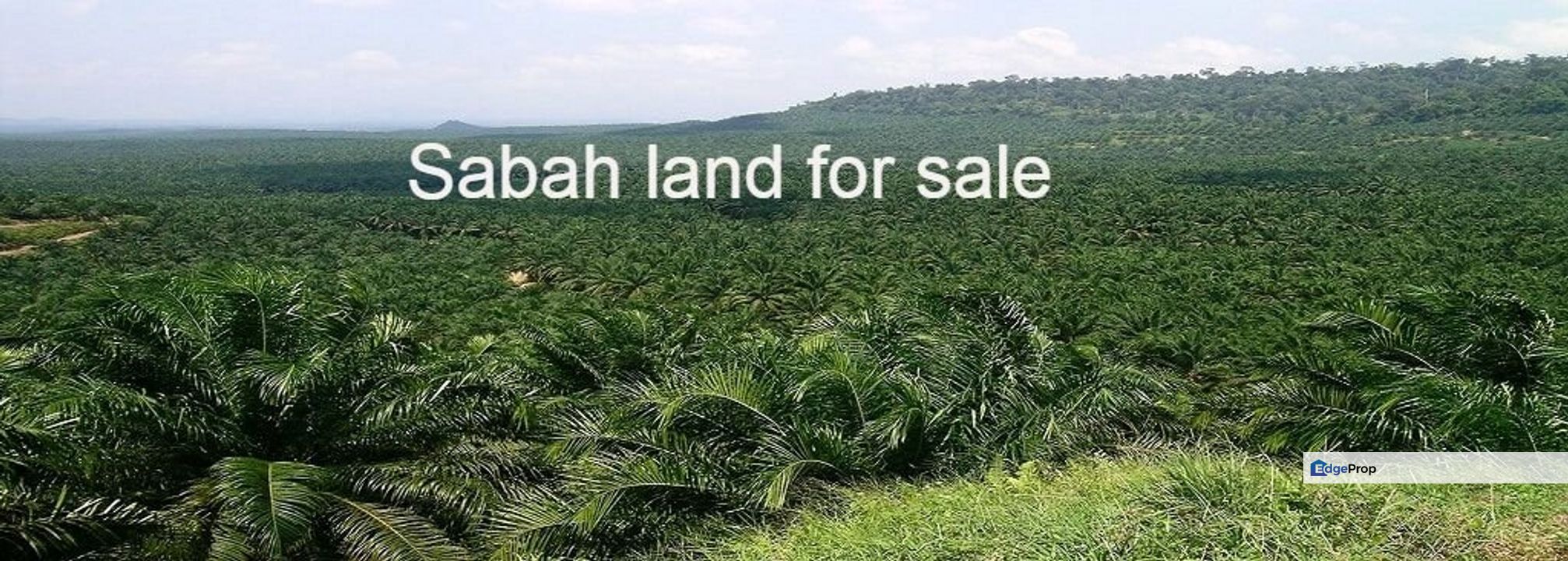 Sabah Agriculture Land For Sale For Sale Rm1 200 000 By Mr Cheang Edgeprop My