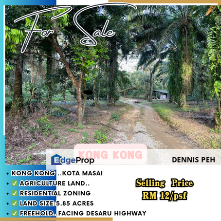 Kong Kong @Masai 5.85acres Agriculture Land For Sale (Residential Zoning), Johor, Johor Bahru