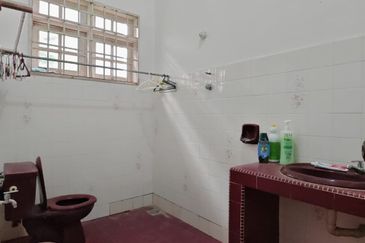 Stulang Laut / Darat