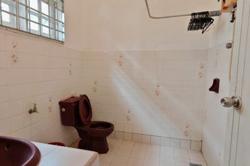 Stulang Laut / Darat