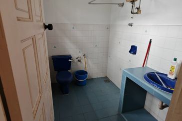 Stulang Laut / Darat