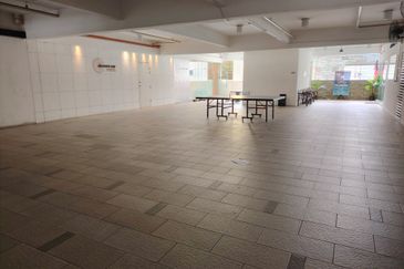 Platinum Mondrian (Pv128)