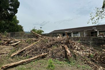 Taman Sri Hijau ( New Green Park )